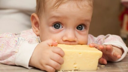 Выбор сыра для детей