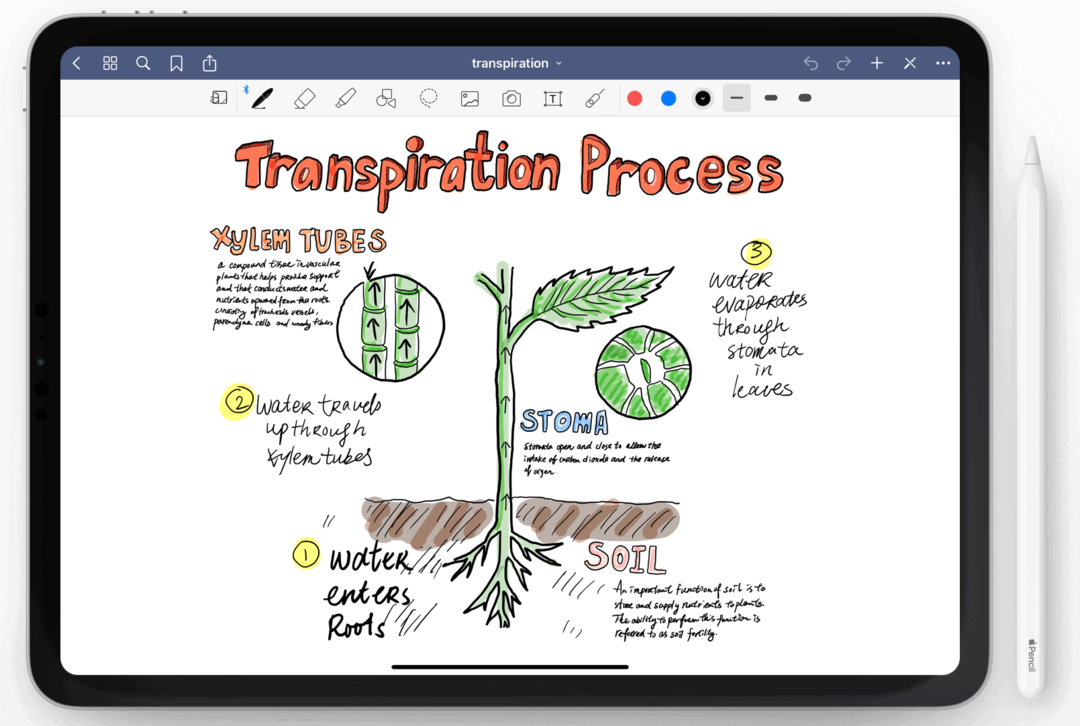 Goodnotes для iPad