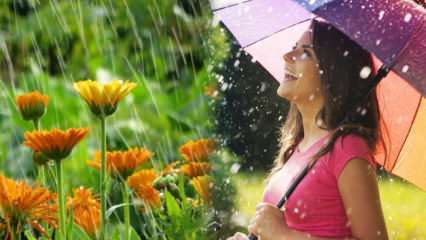 Апрельский дождь исцеляет? Какие молитвы нужно читать в дождевую воду? Преимущества апрельского дождя