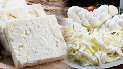 Как понять хороший сыр? Советы по выбору сыра