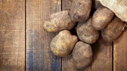 Как хранится картофель?