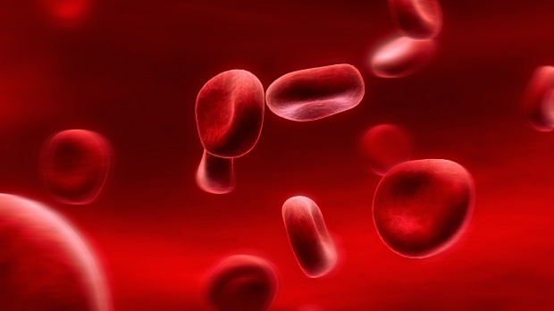 Что такое диета группы крови? Как это сделать?