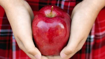 Как оценивают гнилые яблоки? 