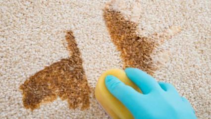 Как сделать чистящий спрей для ковров в домашних условиях?