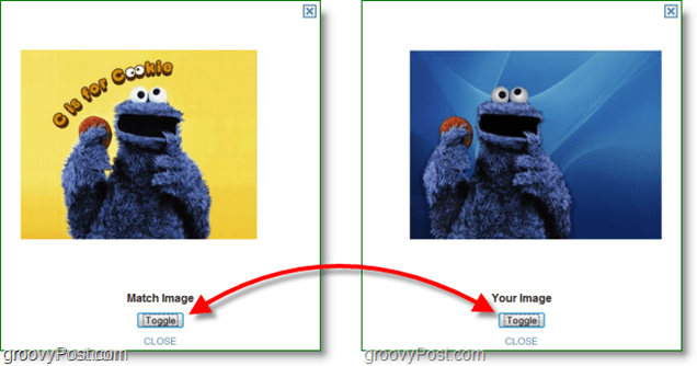 Скриншот TinEye - сравнение исходного изображения и изображения соответствия