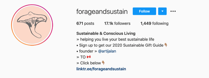 пример профиля Instagram от @forageandsustain с примечанием в информации профиля, чтобы щелкнуть ссылку биографии, чтобы узнать больше