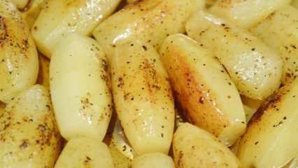 Что такое туровая картошка и как сделать самую простую туристическую картошку?