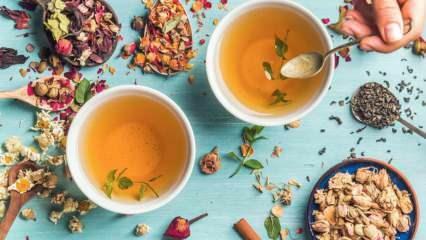 Какие травяные чаи сжигают жир быстрее всего? 7 самых эффективных травяных чаев для сжигания жира! 