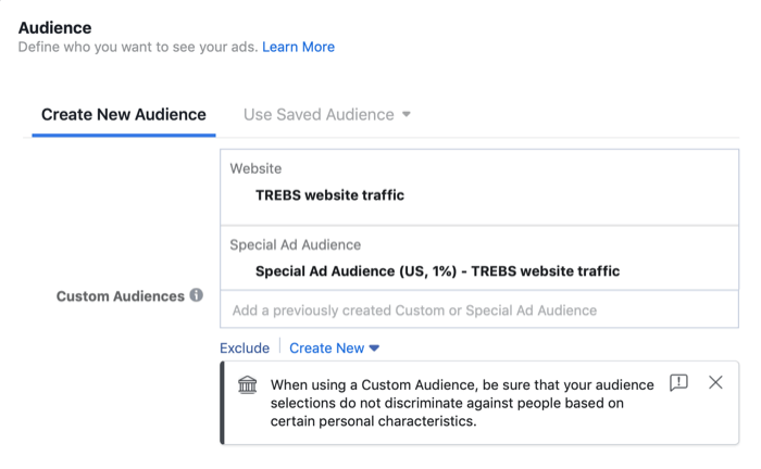 специальная рекламная аудитория в разделе Audience настройки кампании Facebook