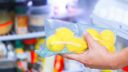 Как хранить лимоны в холодильнике? Предложения, чтобы лимон не плесень