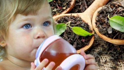 Могут ли дети пить чай?