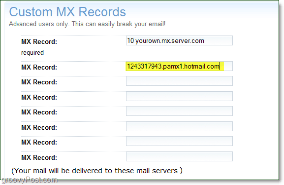 вставьте информацию о сервере MX Live Services на страницу дополнительных параметров своего домена для пользовательских записей MX