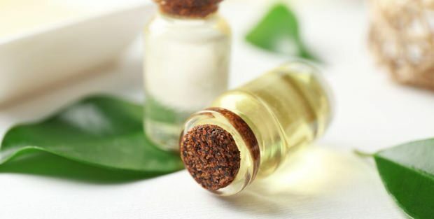 Какая польза от крема с маслом чайного дерева для кожи? Рекомендации по использованию крема с маслом чайного дерева