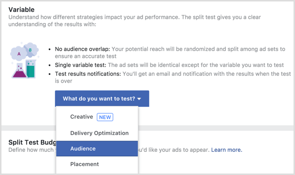 Переменная теста разделения рекламы Facebook