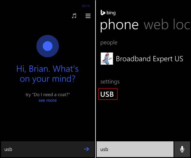 Найти скрытые настройки Windows Phone 8.1 USB