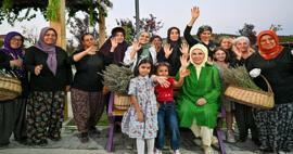 Первая леди Эрдоган посетила Экологическую деревню и собрала лаванду в Анкаре