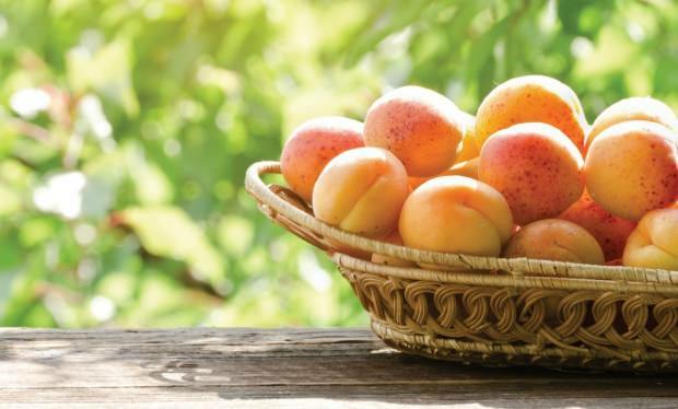 Преимущества абрикосов для пищеварения