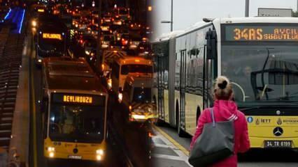 Какие остановки метробуса и их названия? Сколько стоит проезд в метробусе 2022 года?
