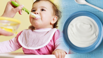 Как приготовить йогурт для младенцев? Рецепты домашнего фруктового йогурта для малышей