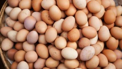 Что следует учитывать при выборе яйца?