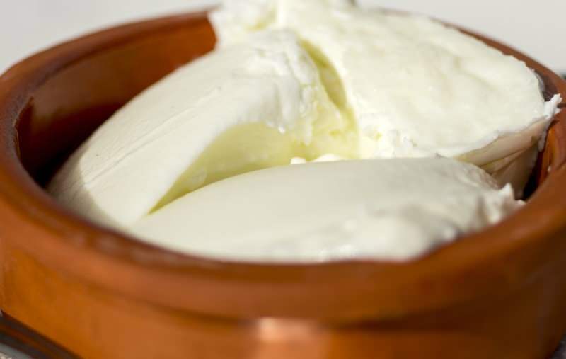 Каковы преимущества йогурта из буйволиного молока? Как приготовить йогурт из водяного буйвола и для чего он нужен?