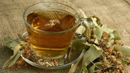 Каковы преимущества липы? Какие заболевания полезны для? Как приготовить липовый чай?