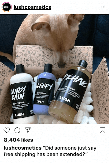 Бизнес-пост в instagram с собакой