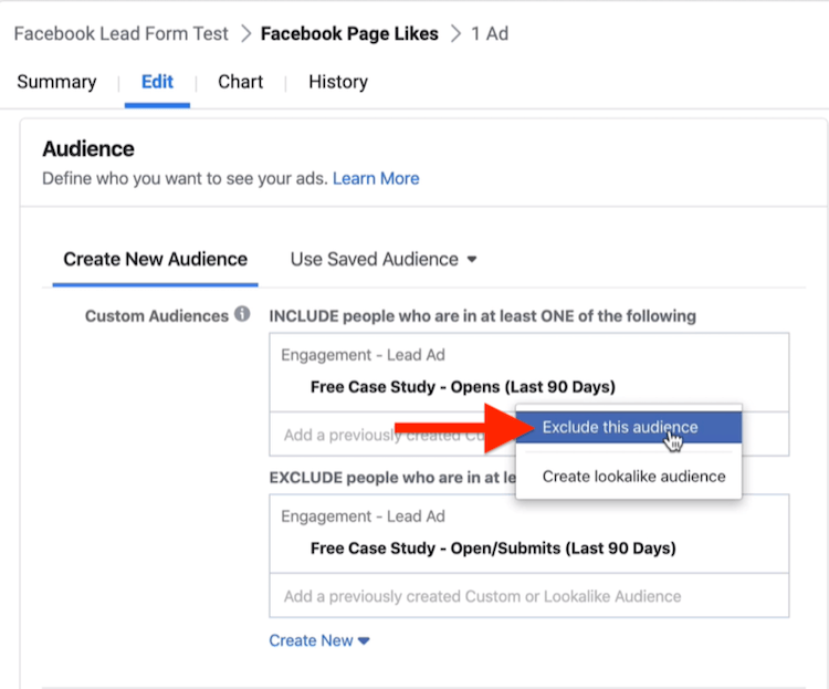Исключить эту опцию Audience в разделе Audience настройки кампании Facebook