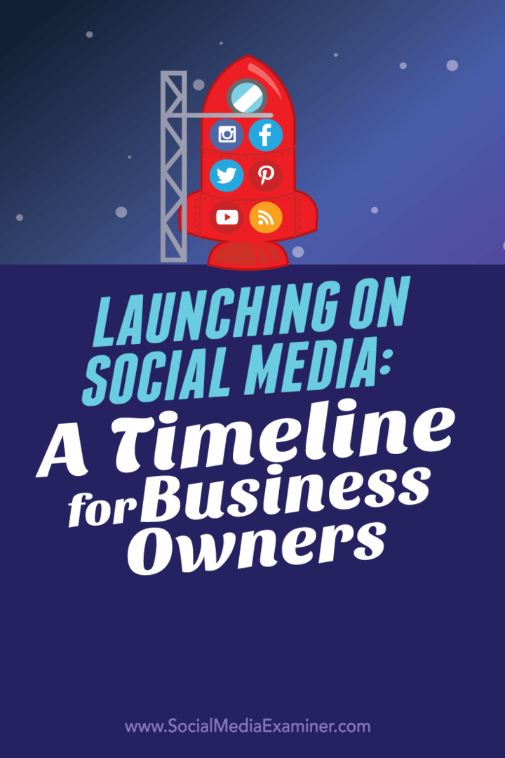 Запуск в социальных сетях: хронология для владельцев бизнеса: специалист по социальным медиа