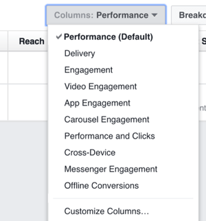 Щелкните раскрывающийся список Столбцы, чтобы просмотреть параметры изменения столбцов, которые вы видите в Facebook Ads Manager.