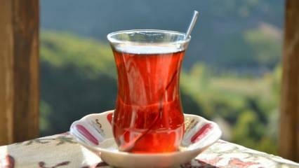 Как определить, качественный ли чай? Как понять качество чая