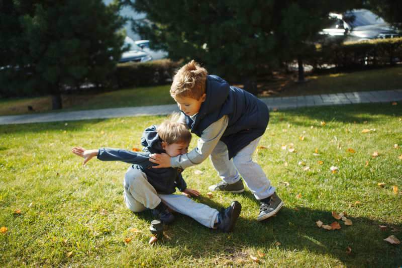 Что такое 2-х возрастный синдром? Как предотвратить бросок и удары по поведению у детей?
