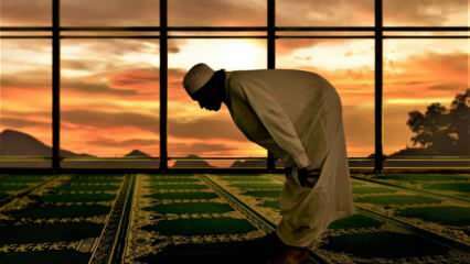 Принимается ли басмала после аль-Фатиха в молитве? Суры читаются после аль-Фатиха в молитве
