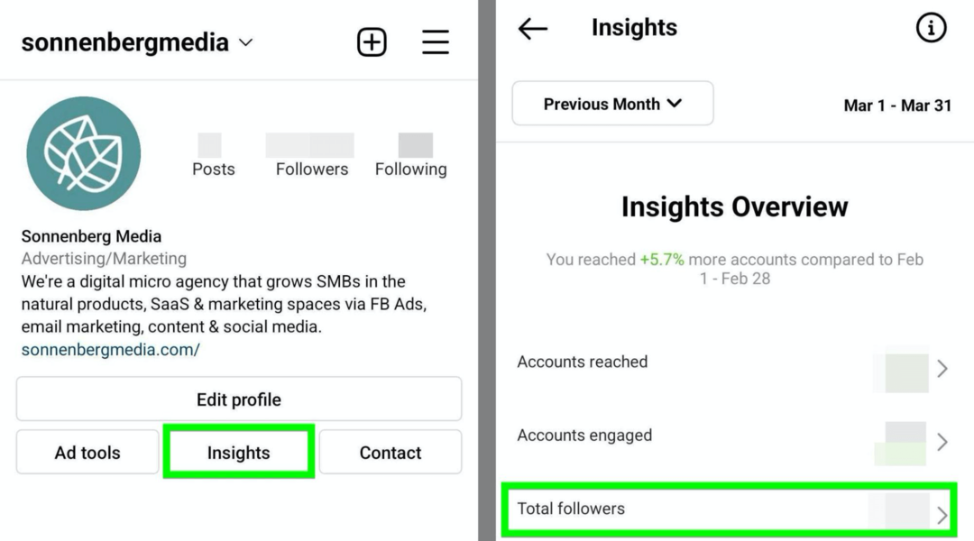 изображение опции Instagram Insights Total Followers