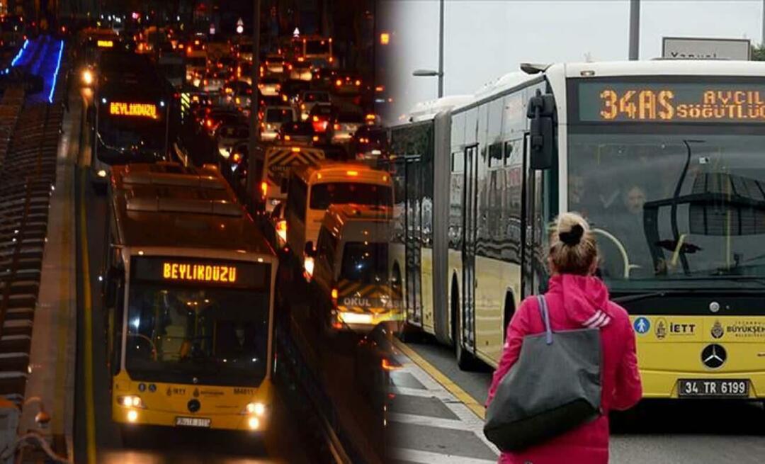 Какие остановки метробуса и их названия? Сколько стоит проезд в метробусе 2023 года?