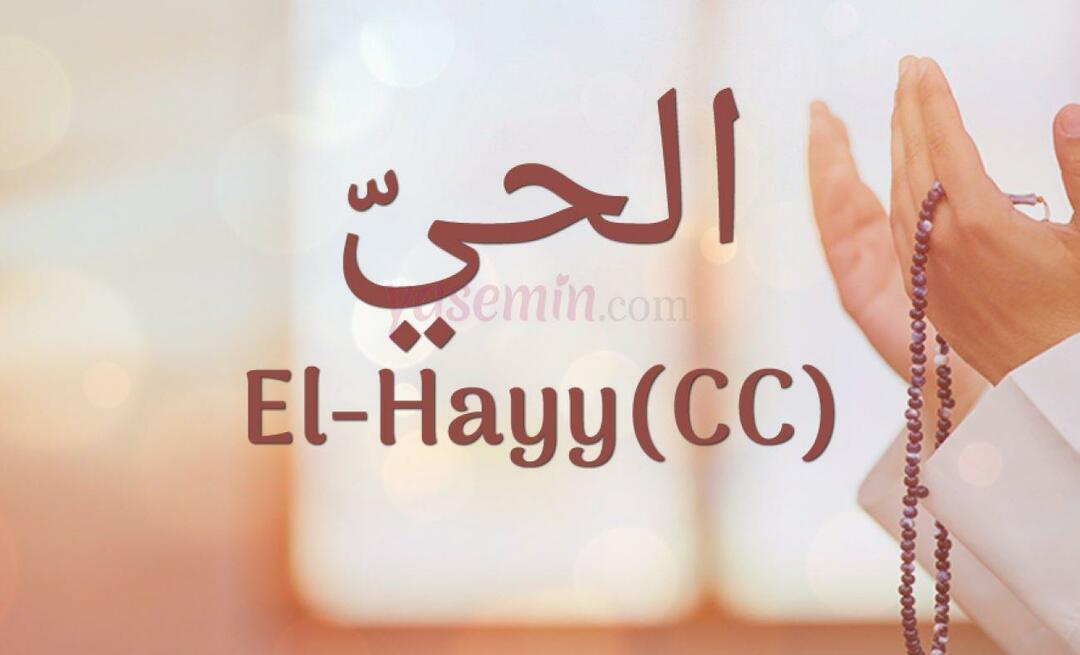 Что означает Эль-Хайй (cc) от Эсма-уль-Хусна? Каковы достоинства Аль-Хайи (cc)?