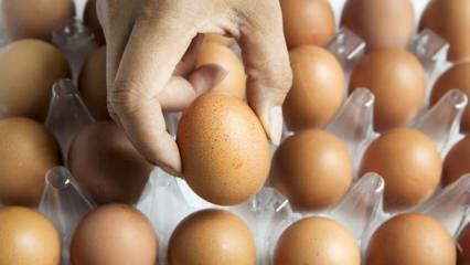 Практические советы по хранению яиц в свежем виде